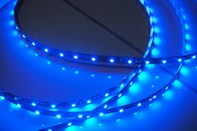 LED strips - BLUE
