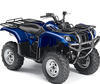 LEDs and Xenon HID conversion kits for Yamaha YFM 660 Grizzly