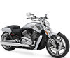 LEDs and Xenon HID conversion kits for Harley-Davidson V-Rod Muscle 1250