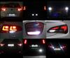 reversing lights LED for Nissan Murano II Tuning