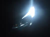 daytime running lights LED for Opel Corsa E Tuning