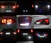 reversing lights LED for Peugeot Expert III Tuning