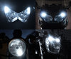 xenon white sidelight bulbs LED for Harley-Davidson Custom 883 Tuning