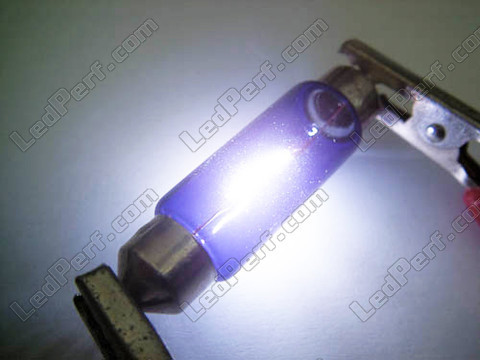 Xenon effect 37mm bulb C5W Halogen Blue vision (5W)