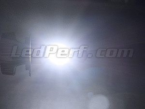 LED Headlights Kit LED Haute Performance H1
