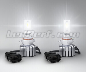 H10 LED bulbs Osram LEDriving HL Bright - 9005DWBRT-2HFB