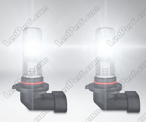 H10 Osram LEDriving Standard LED bulbs for fog lights in operation