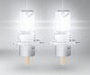 Osram Easy H19 LED bulbs lit