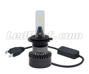 H7 LED Eco Line bulbs plug and play connection and Canbus anti-error