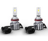 Pair of H9 LED Bulbs Osram LEDriving HL Bright - 64211DWBRT-2HFB