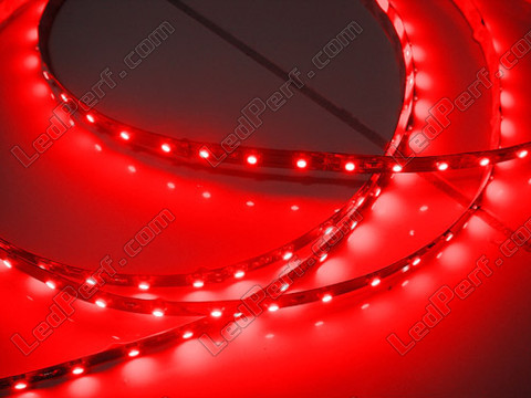 Flexible SMD LED strip, 24V - divisible Red