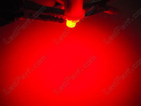 red T5 w1.2w LED on bracket