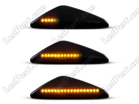 Lighting of the black dynamic LED side indicators for BMW X6 (E71 E72)