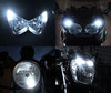 xenon white sidelight bulbs LED for Kawasaki Z125 Tuning