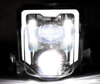 LED Headlight for Husqvarna FE 350 / 350s (2020 - 2023)