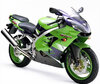 Motorcycle Kawasaki Ninja ZX-9R (2000 - 2003) (2000 - 2003)