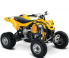 ATV Can-Am DS 450 (2009 - 2016)