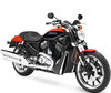 Motorcycle Harley-Davidson Street Rod 1130 (2005 - 2007)