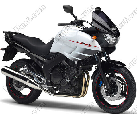 Motorcycle Yamaha TDM 900 (2002 - 2014)