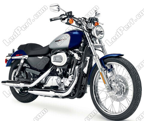 Motorcycle Harley-Davidson Custom 1200 (2000 - 2010) (2000 - 2010)