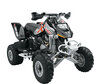 ATV Can-Am DS 650 (2002 - 2002)