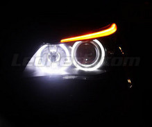Angel Eyes LED pack for BMW 5 Series (E60 E61) Phase 1 - with original-fit Xenon - Standard