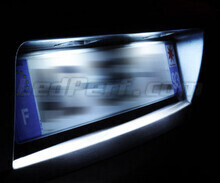 LED Licence plate pack (xenon white) for Renault Clio 5