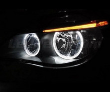 Angels eyes LED pack for BMW 5 Series E60 E61 Ph 2 (LCI) - Without original xenon