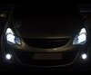 Xenon Effect bulbs pack for Opel Corsa D headlights