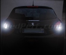 Backup LED light pack (white 6000K) for Peugeot 208