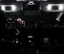 Interior Full LED pack (pure white) for Peugeot 208