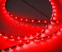 Standard 50cm flexible strip of (30 leds SMD) red