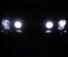 Xenon Effect bulbs pack for Ford Mustang headlights