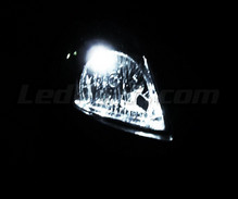 Sidelights LED Pack (xenon white) for Suzuki Swift II