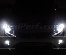 Pack of fog lights (xenon white) for Ford Focus MK2