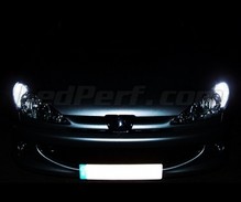 Sidelights LED Pack (xenon white) for Peugeot 206 (>10/2002)