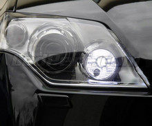 Daytime running light LED pack (xenon white) for Renault Laguna 3