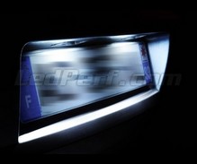 LED Licence plate pack (xenon white) for Renault Scenic 2